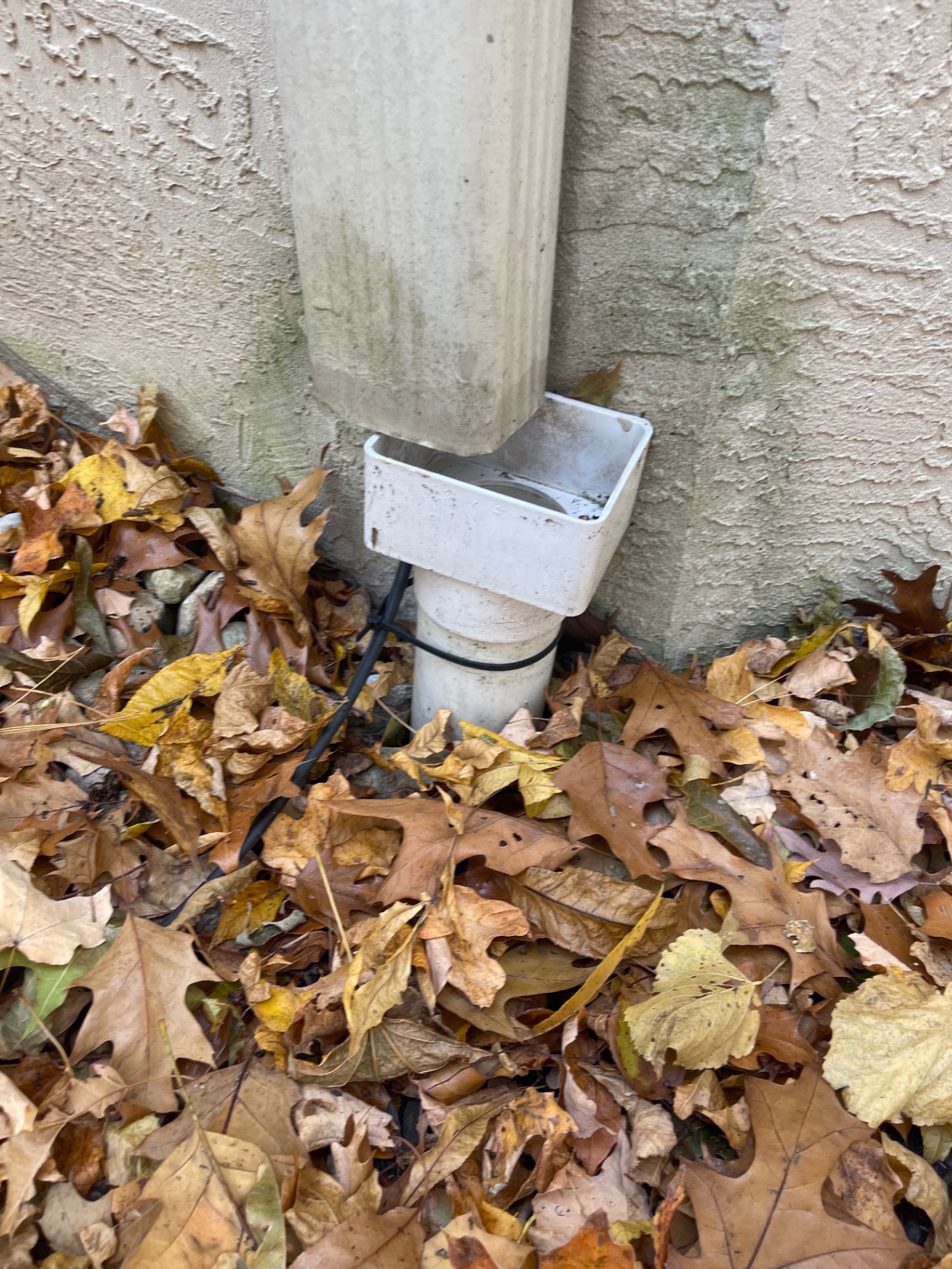 Downspout discharging poorly into an open ground drain box
